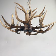 Tucker Antler Polyresin 6 Light Pendant